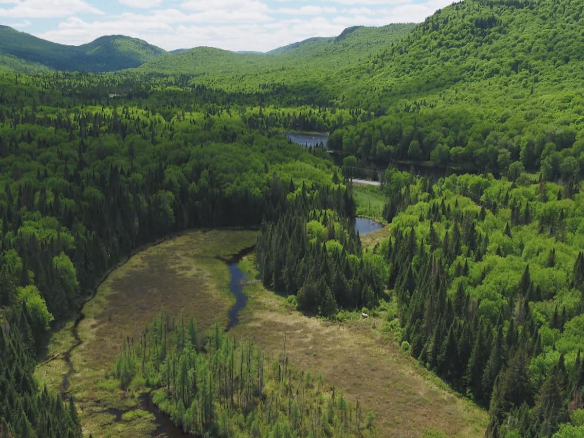 Protection du territoire québécois: Quel rôle peut jouer la Côte-Nord?