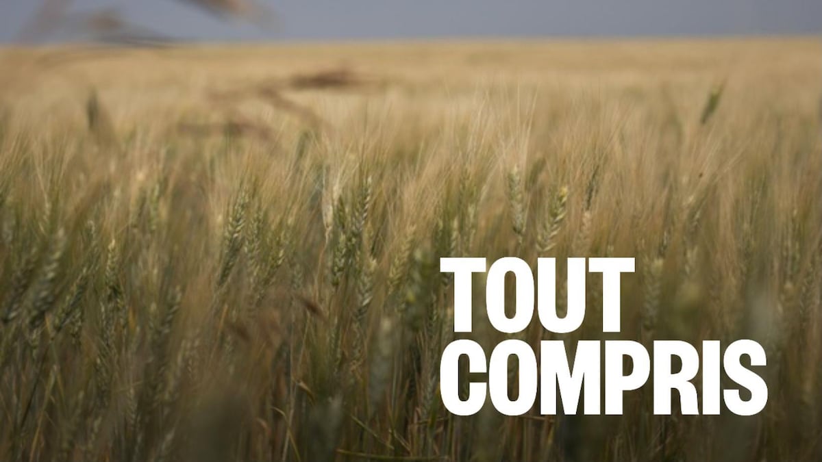 L’avenir de l’agroalimentaire en Saskatchewan avec Sylvain Charlebois