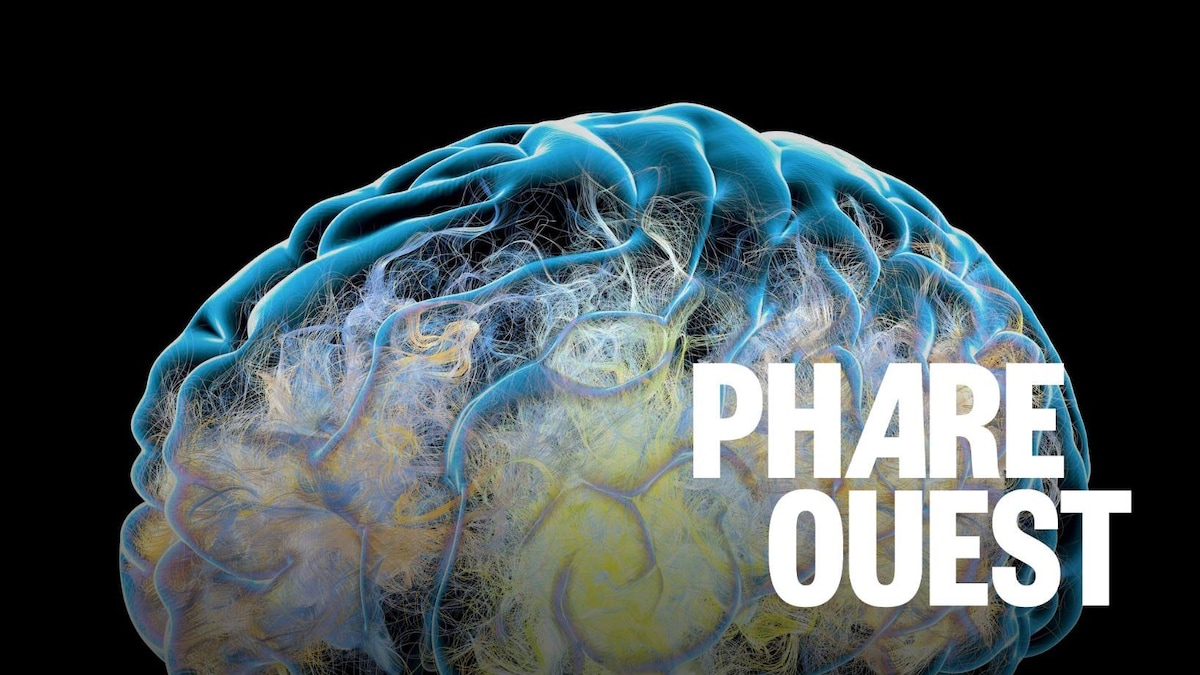 Une protéine cérébrale déterminante dans la maladie de Parkinson