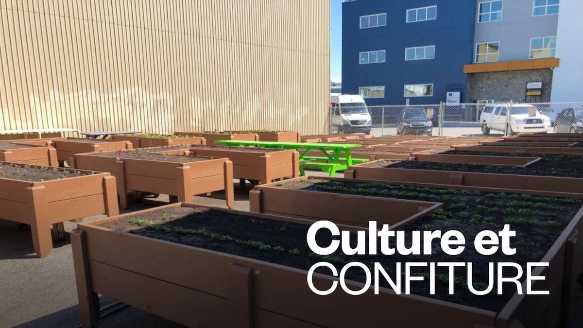 Planter son potager au Yukon