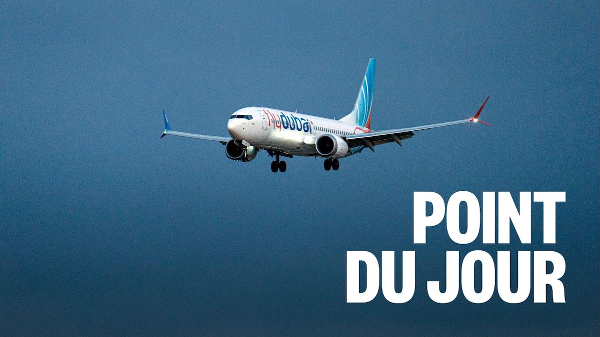 Sécurité aéroportuaire : des questions soulevées après un drame en plein vol