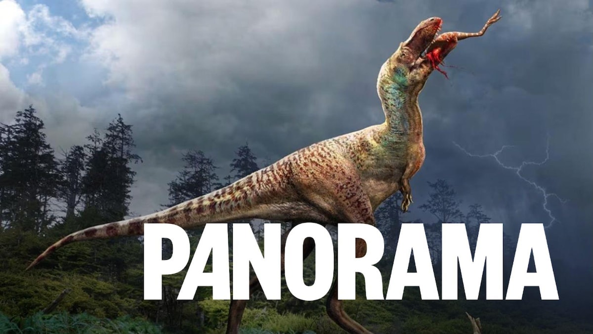 Un fossile de l’ancêtre du T-Rex trouvé à Tumbler Ridge