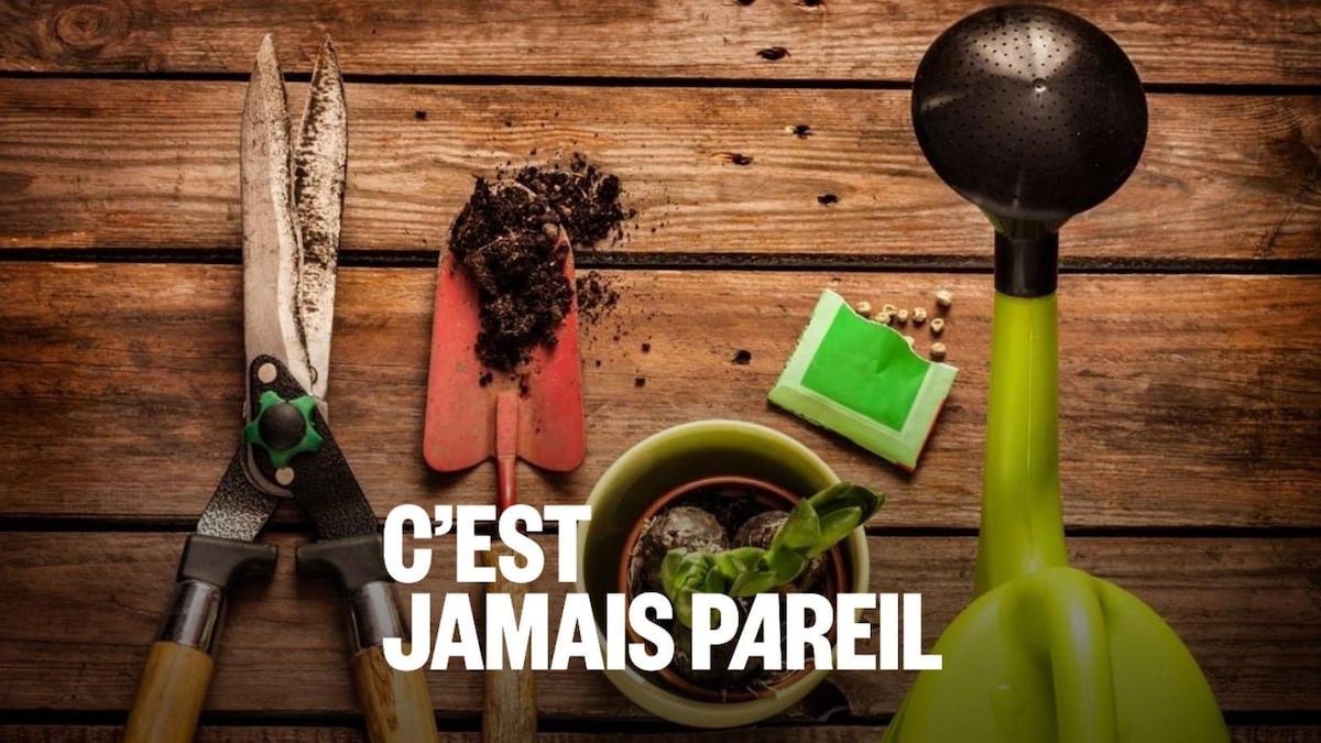 La plantation des légumes loin d’être terminée