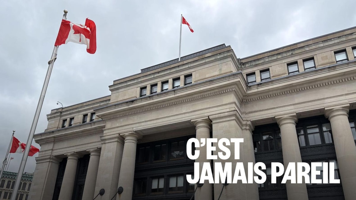Le rôle des sénateurs décrypté