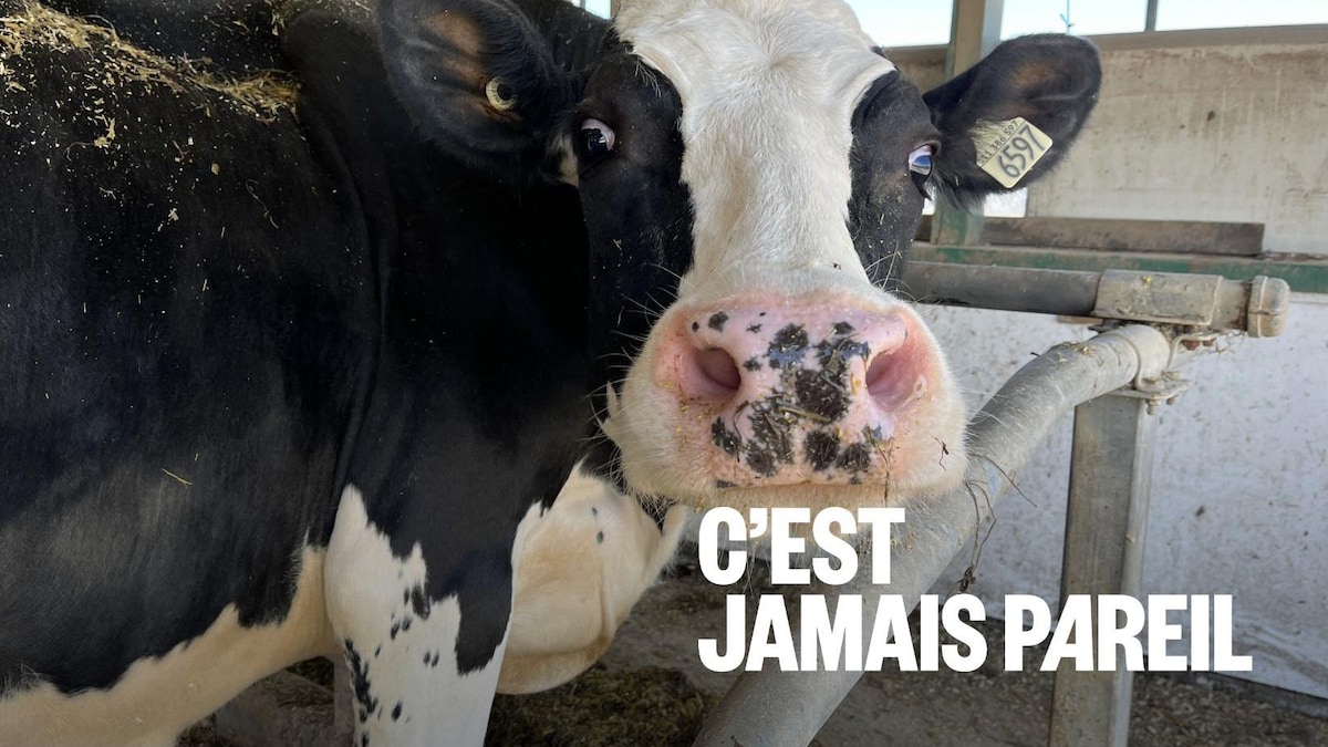 Des réponses à certaines questions sur la gestion de l’offre