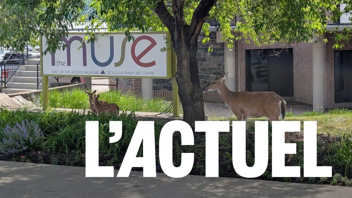 The Muse à Kenora, ou comment partir en escapade culturelle pendant l’été