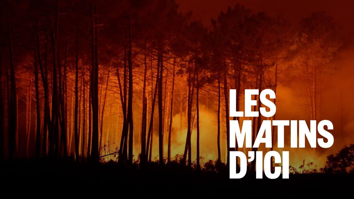 Incendies en France : témoignage d’un ancien résident d’Ottawa