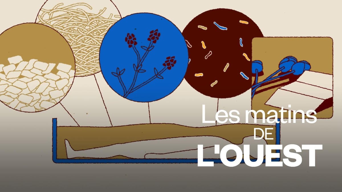 Le compostage humain, la prochaine révolution verte du domaine funéraire?
