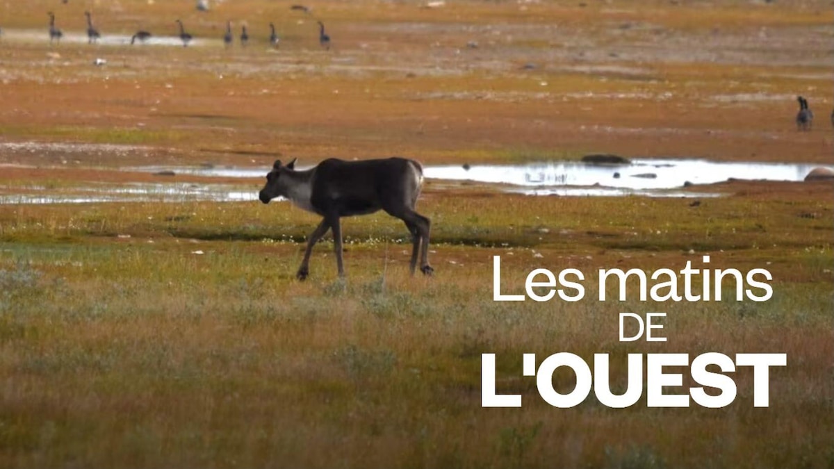 Une famille a donné son terrain pour garantir la conservation des tourbières