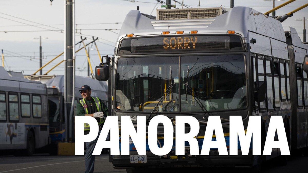 Rue Hastings : retirer des arrêts d’autobus fait débat