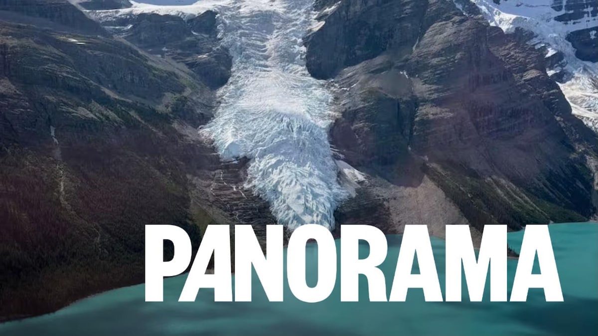 Recul du glacier Berg au parc provincial mont Robson