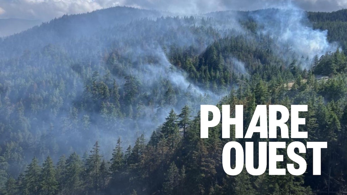 Fumée des feux de forêt et problèmes respiratoires, que faire?