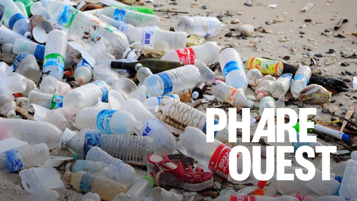 Quelles sont les conséquences environnementales de la FIFA?