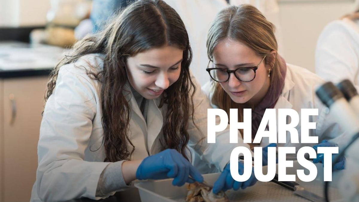Comment inciter les jeunes filles à étudier en sciences?