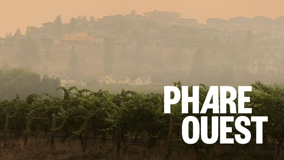 L’impact des feux sur les vignes de l’Okanagan