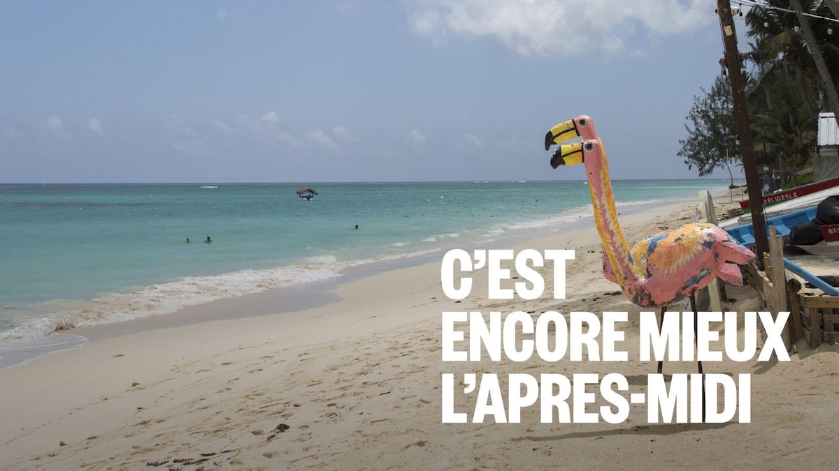 « Coolcations » : des vacances au frais en temps de canicule