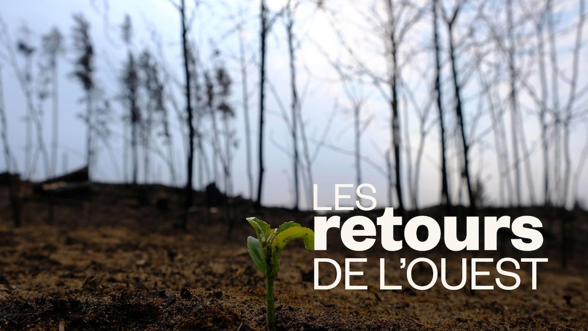 Feux de forêt : comment adapter son jardin
