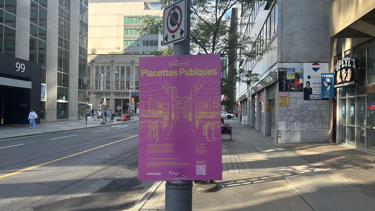 À Ottawa, des affiches font la promotion de places « pubiques »