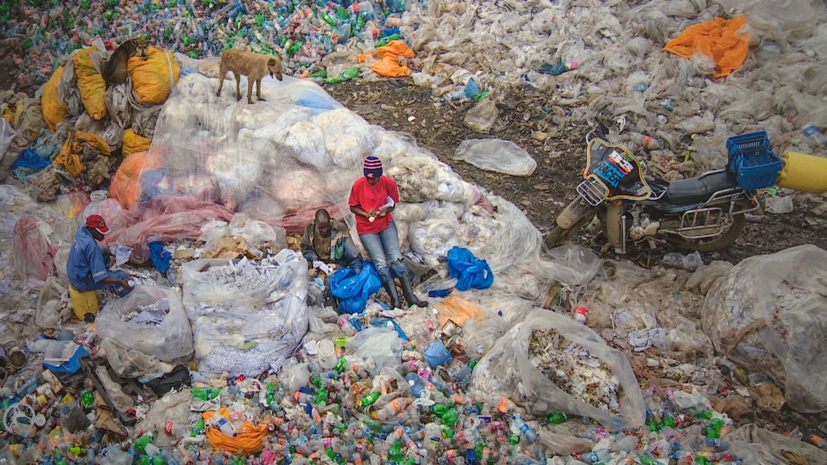 Une photographie de trois hommes et un chien qui parcourent une montagne de déchets en plastique.