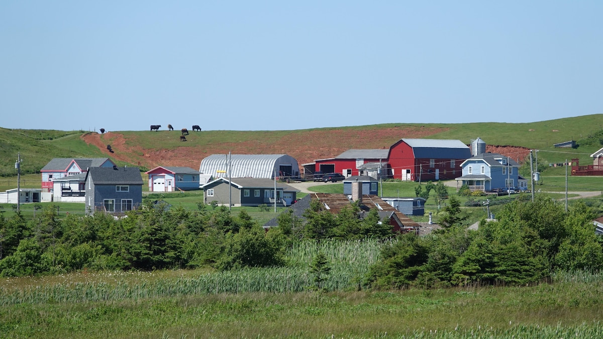 Transmission des fermes : des agriculteurs veulent changer les lois