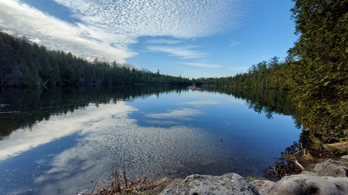 Un lac bordé par une forêt.