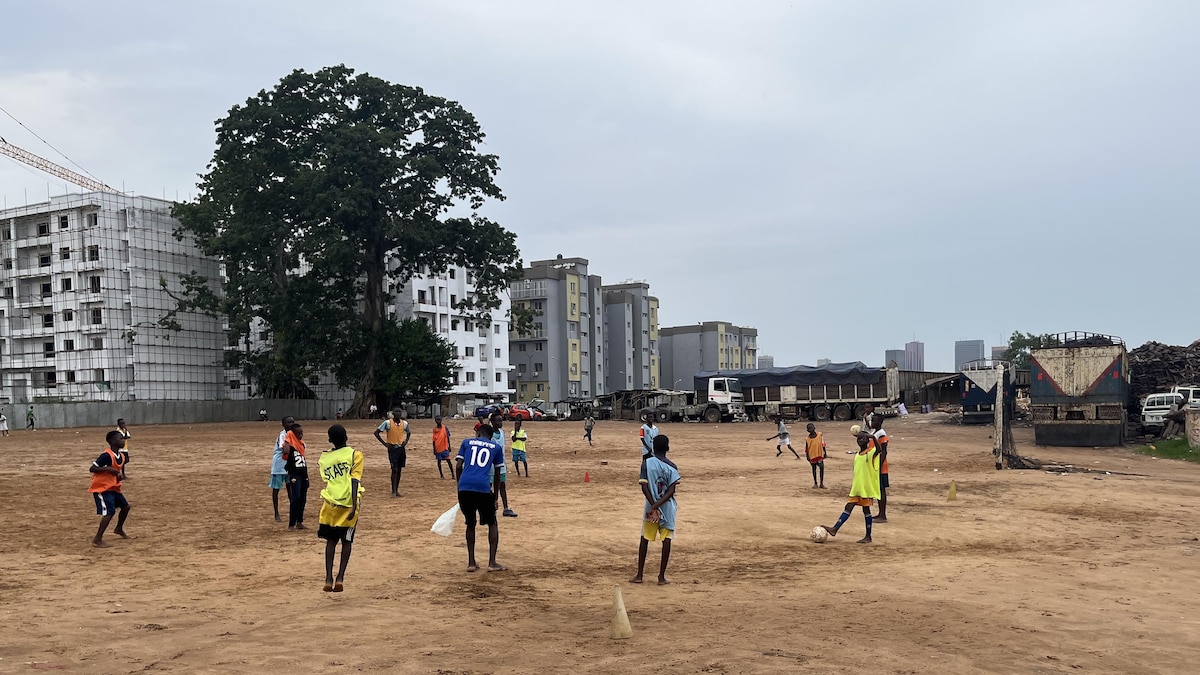 Un arbre est au bout d'un terrain de soccer.