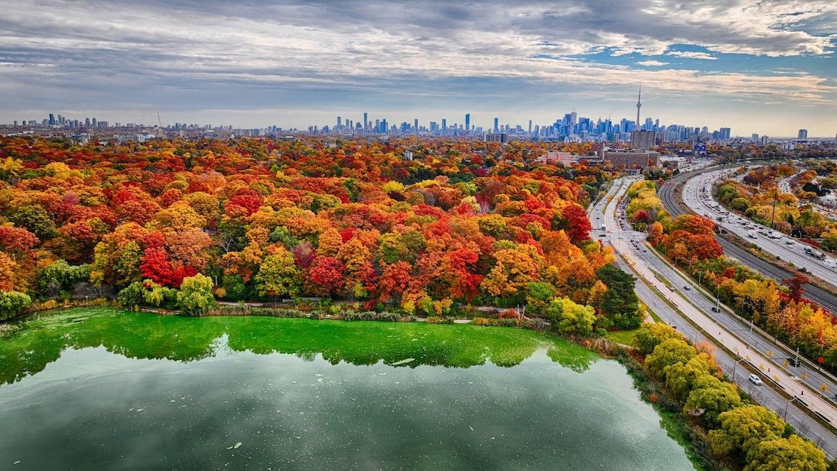 Voici pourquoi les feuilles changent de couleur à l’automne