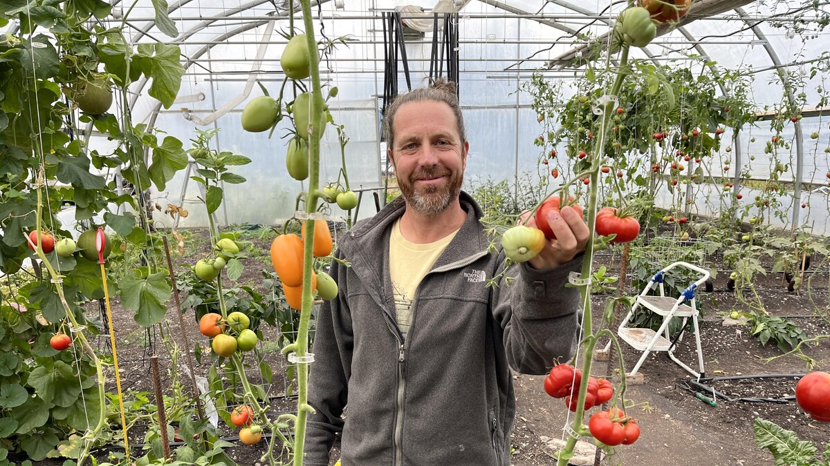 Éric Pineault sourit à la caméra en tenant une tomate, debout au milieu de sa serre.