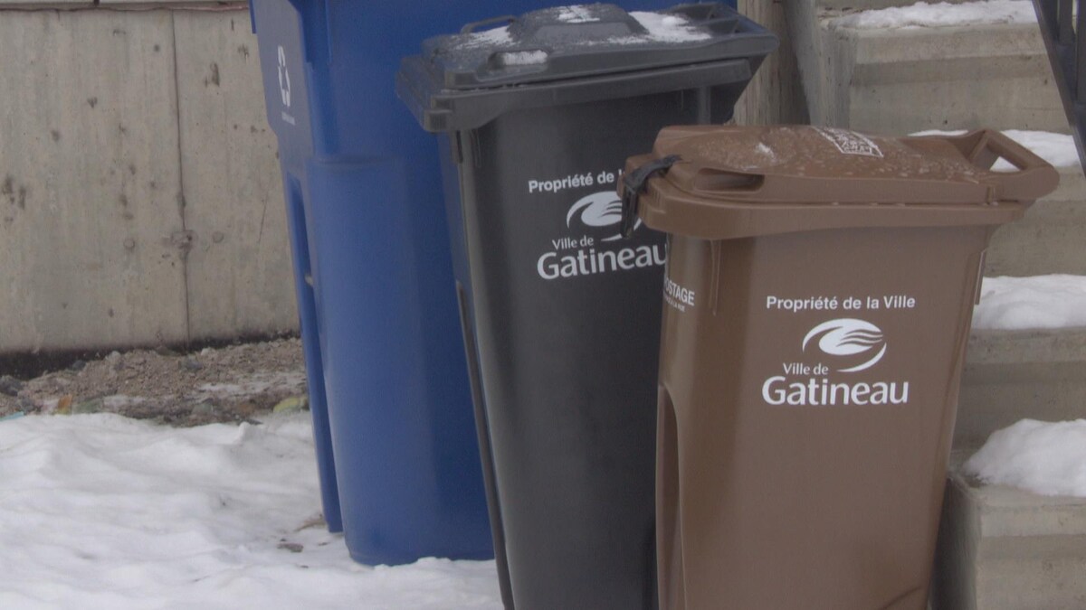 Des bacs d'ordure, de récupération et de compostage.