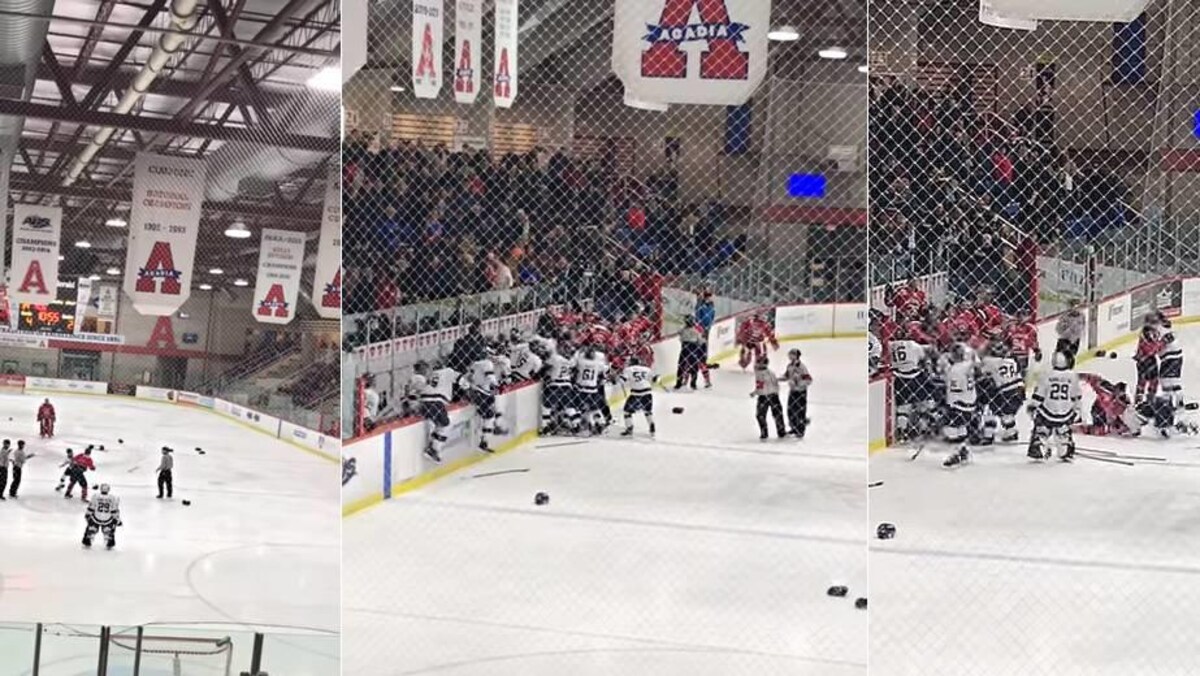 Captures d'écran d'une vidéo de la bagarre générale sur la glace.