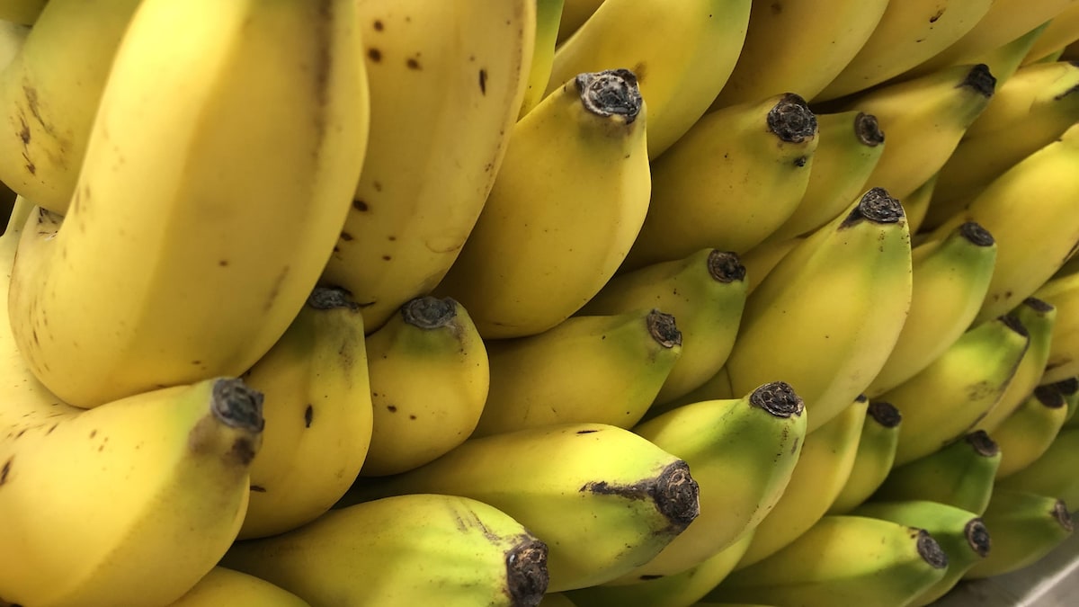 « Banane Gate » : une nutritionniste déconstruit des mythes alimentaires