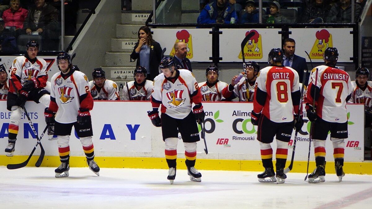 Plusieurs joueurs assis au banc devant leurs entraîneurs. Des joueurs sur la patinoire arrivent dans leur direction.