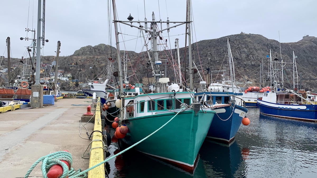 Table ronde : la sécurité de la pêche en Atlantique