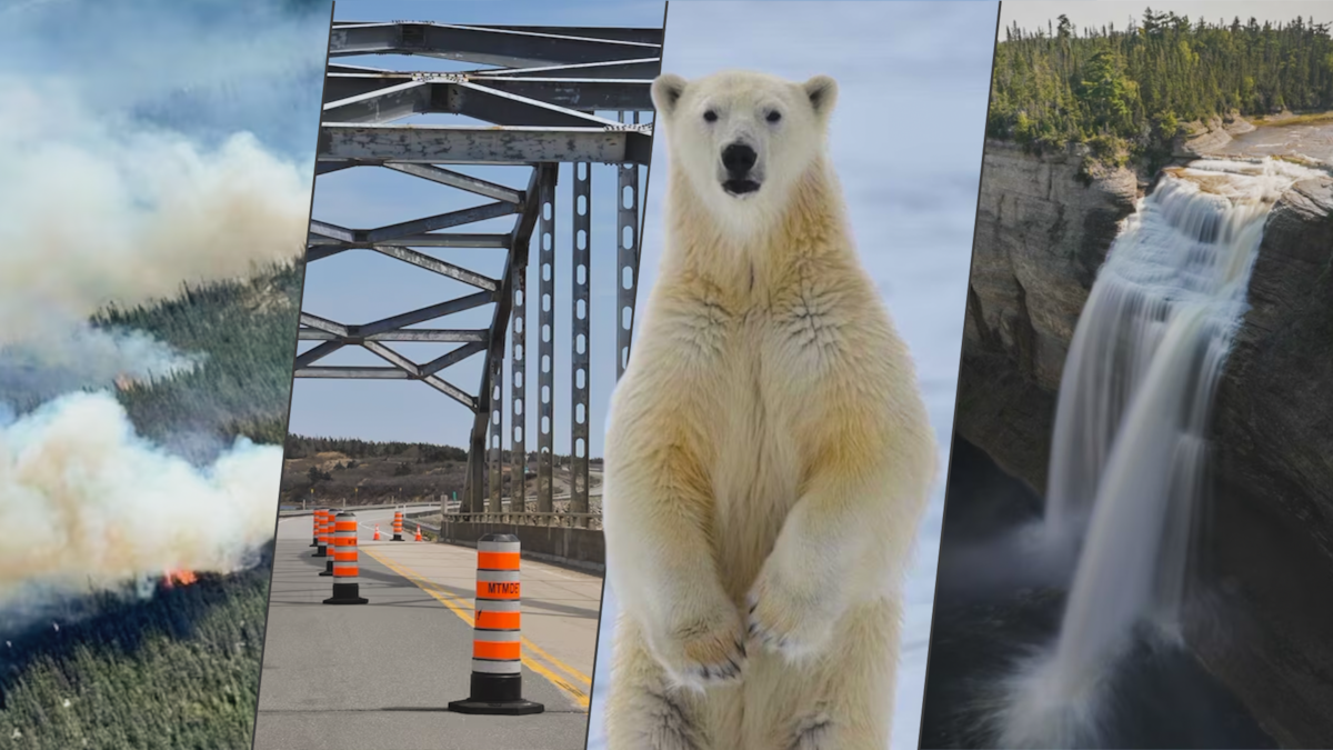 Montage photo d'un feu de forêt, d'un pont fermé, d'un ours polaire et d'une chute à l'île d'Anticosti.