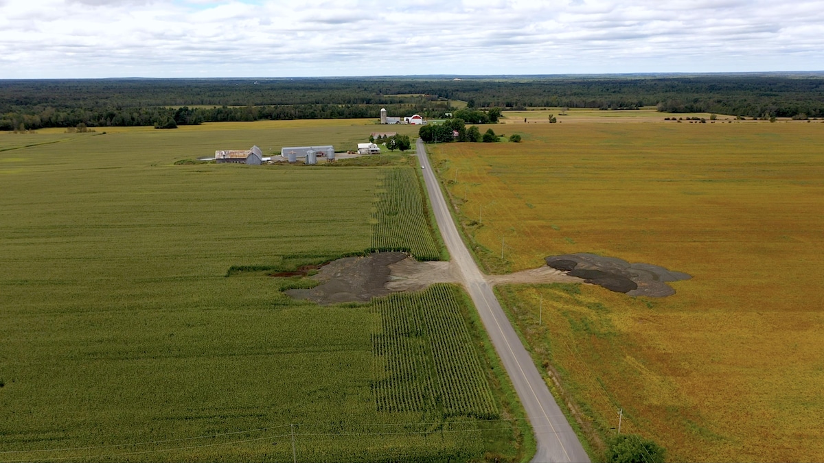 Vue aérienne de deux amas de biosolides déposés dans des champs.