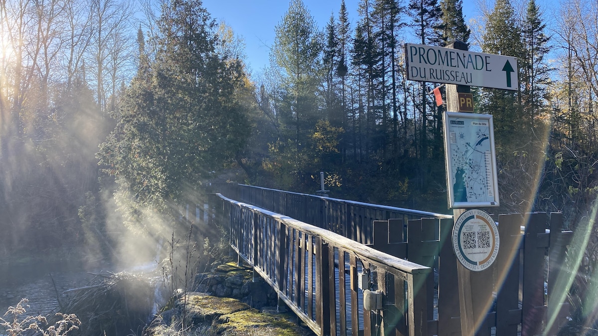 Bienvenue à Bonnalie Mills