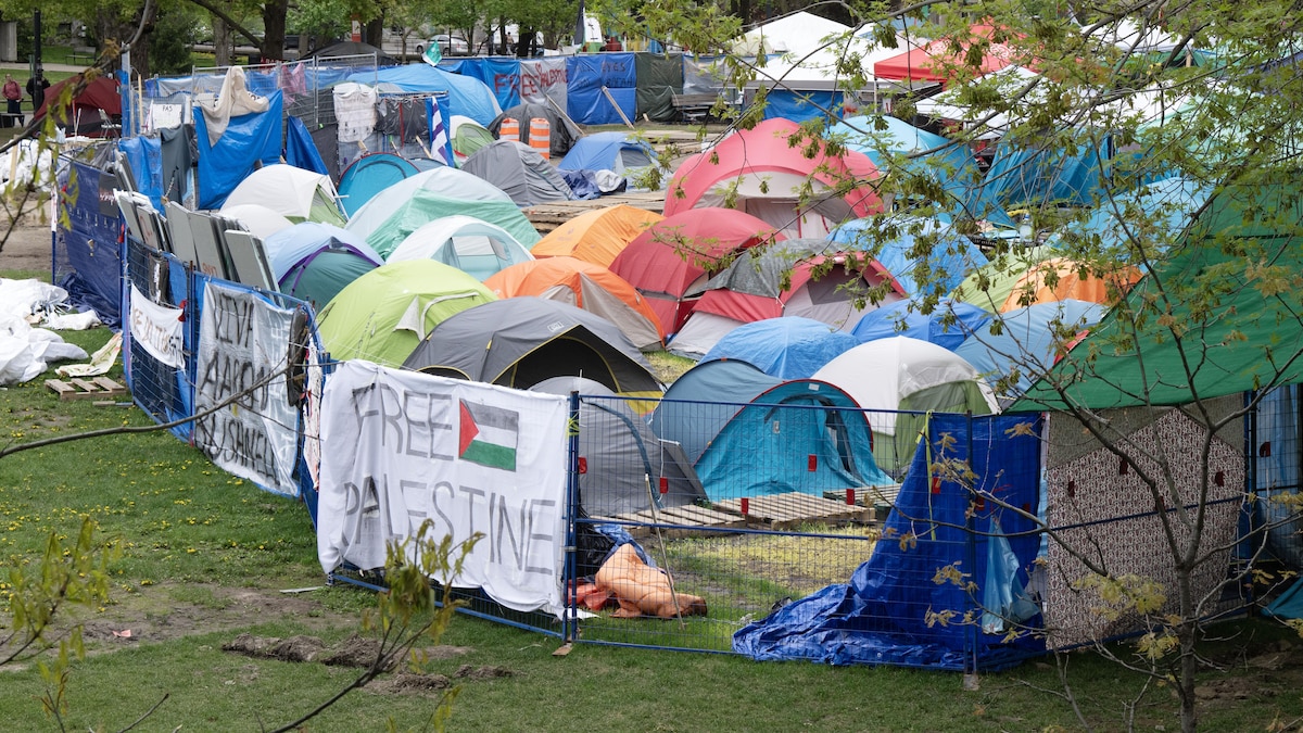 Une quinzaine de tentes sont entassées sur un terrain gazonné. 