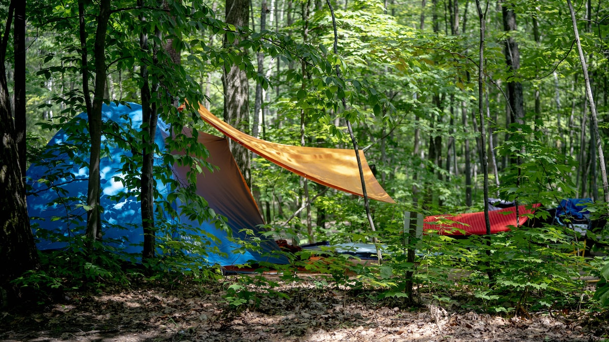 Une tente et une toile servant d'abris sur un terrain de camping en forêt