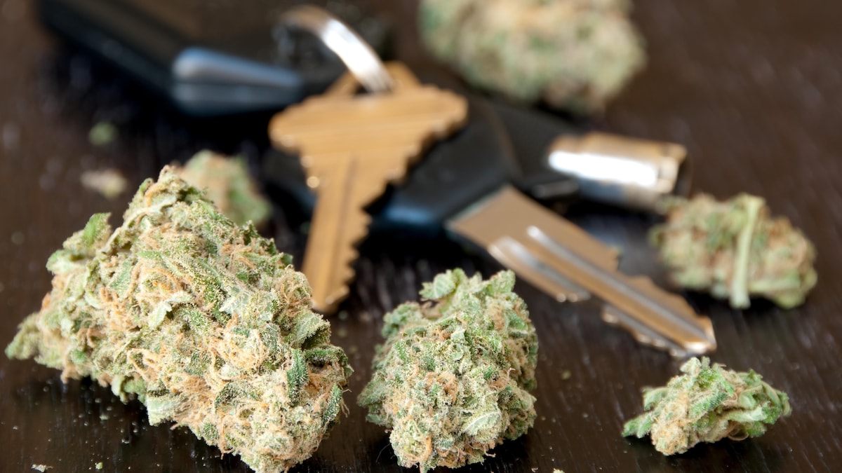 Du cannabis posé sur une table près de clés de voiture.