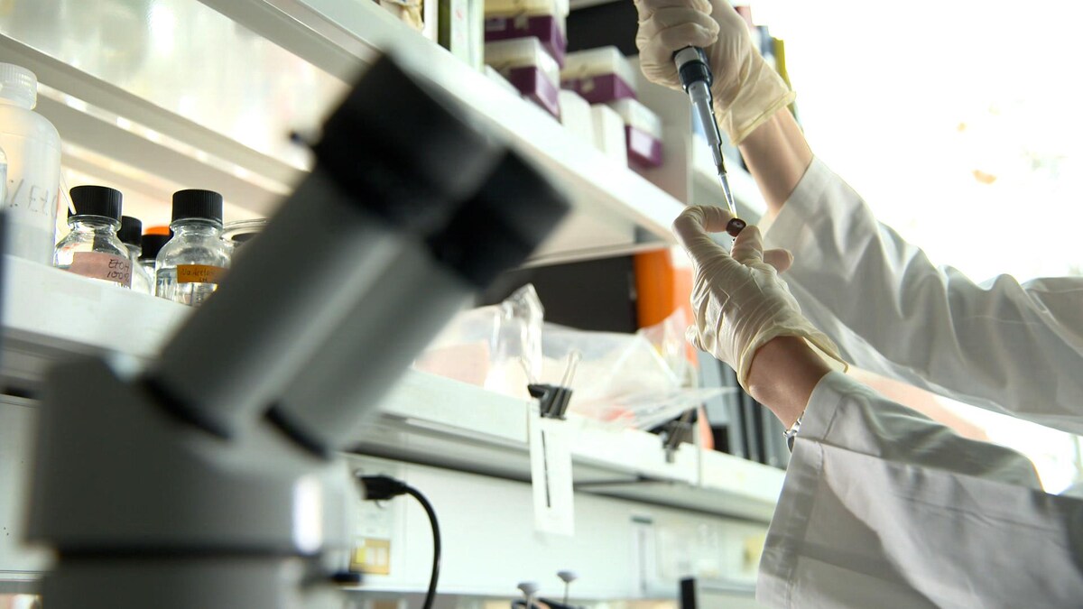 Un liquide est prélevé à l'aide d'une pipette dans un laboratoire.