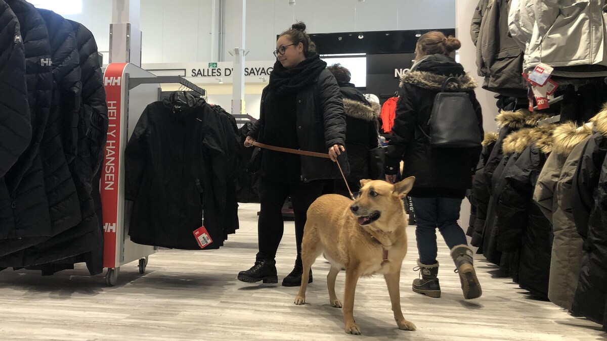 Une femme promène son chien dans un magasin du Quartier DIX30.