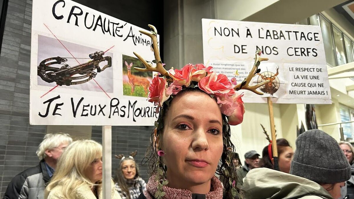 Une femme avec des cornes et des affiches s'opposant à l'abattage des cerfs.