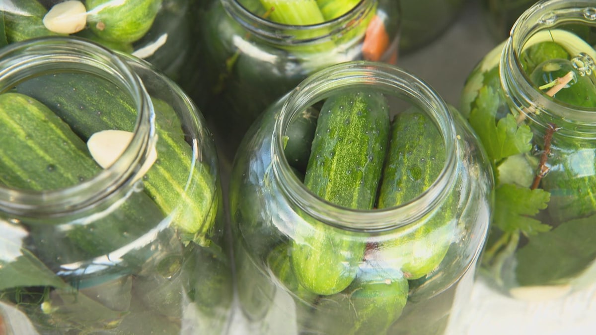 Des cornichons, encore et encore