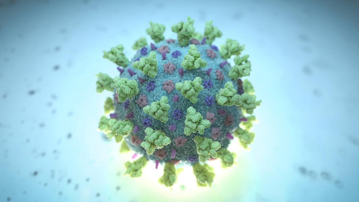 Une image de synthèse d'un bétacoronavirus comme celui causant la COVID-19.