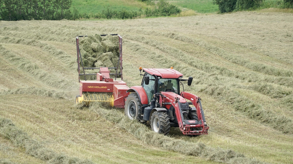Le printemps pluvieux a souri aux agriculteurs de la région