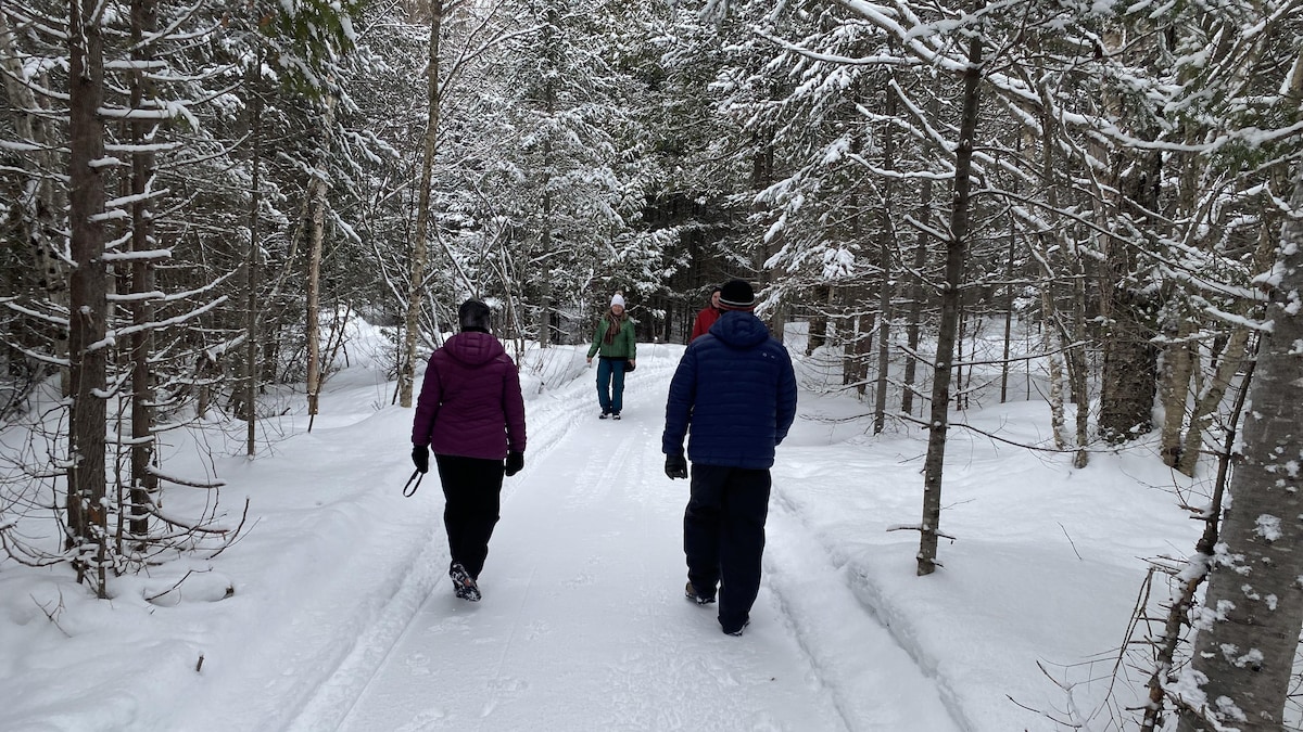 Quatre personnes marchent dans un sentier en hiver.