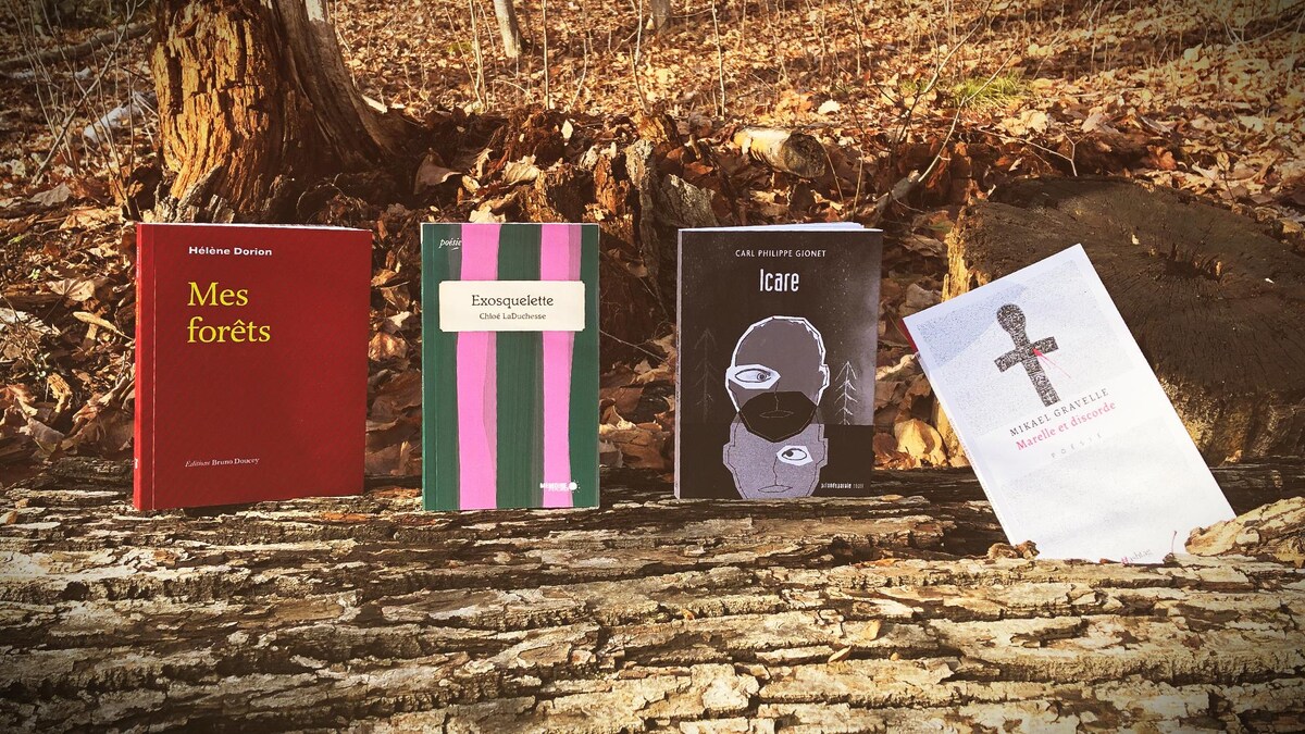 Les quatre livres sont disposés, debout, sur des pierres entourant la petite cascade d'un ruisseau.