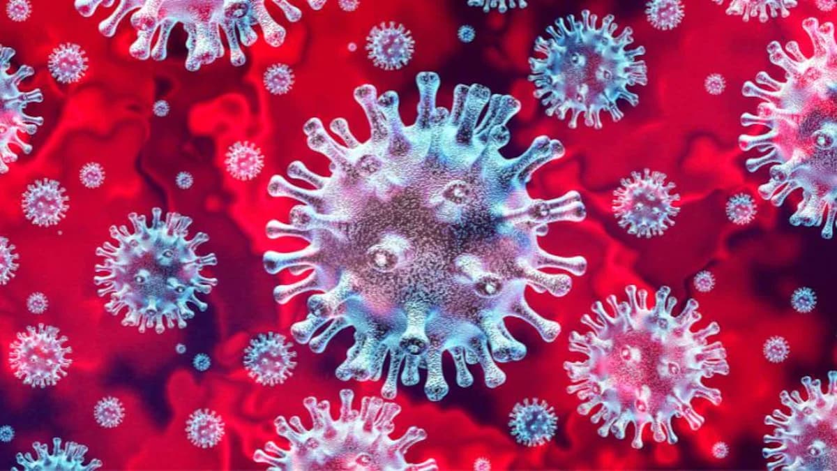 Image numérique représentant un coronavirus.