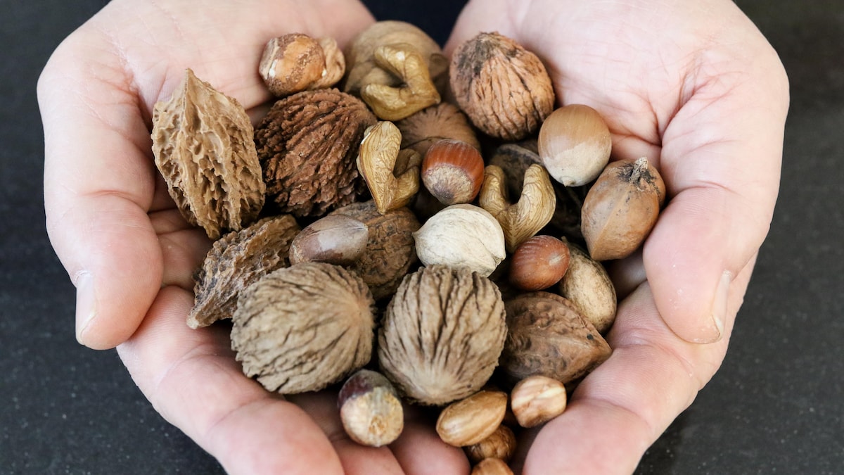 Combien De Kilo De Noix Produit Un Noyer Les chefs craquent pour les noix nordiques | Mordu