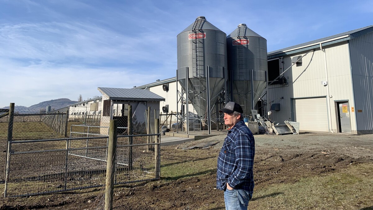 Un homme qui regarde son champ agricole. 